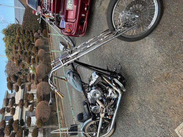 FXSTS　カスタム